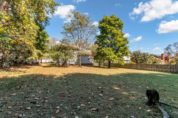 a view of yard with green space