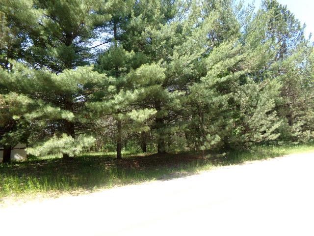 0 Viaduct Road Mesick, MI 49668 - Photo 19 of 19 1833252-18.JPG