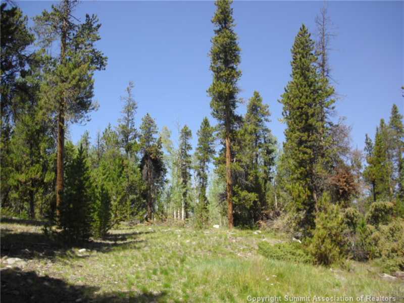 Land/Lot.