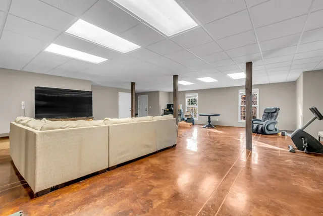 a view of a yard with plants and trees