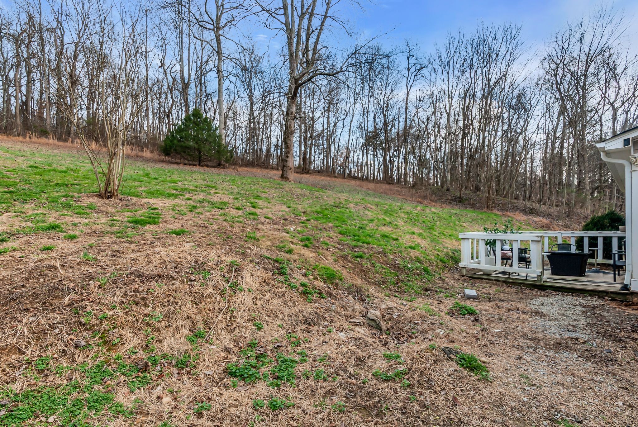 1210 Buckeye Road Fayetteville, TN 37334 - Photo 33 of 55