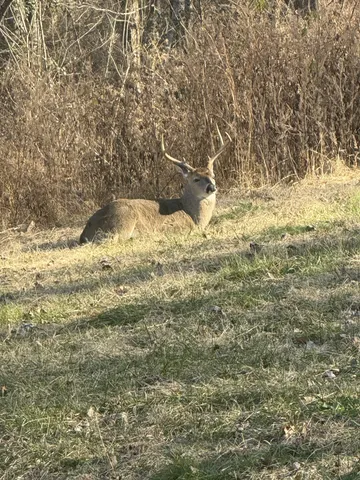 $699,000 | 1210 Buckeye Road, Fayetteville, TN 37334