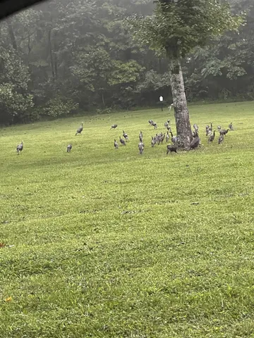 $699,000 | 1210 Buckeye Road, Fayetteville, TN 37334