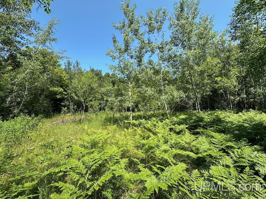 Parcel A Webb Road Grand Marais, MI 49839 - Photo 24 of 29