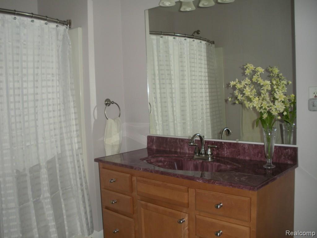 3950 Kings Mill Road North Branch, MI 48461 - Photo 16 of 26 Master Bathroom