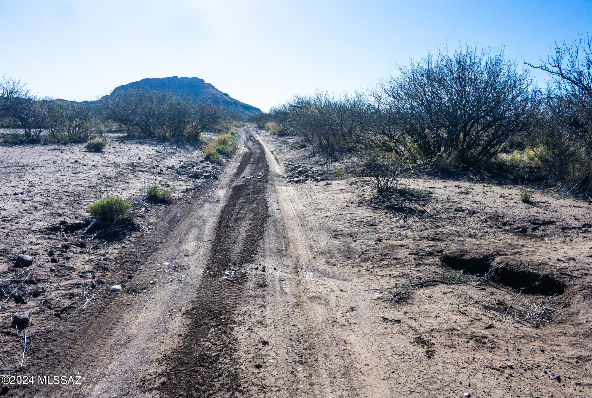 5-acres East Mud Springs Road Douglas, AZ 85607 - Photo 7 of 33
