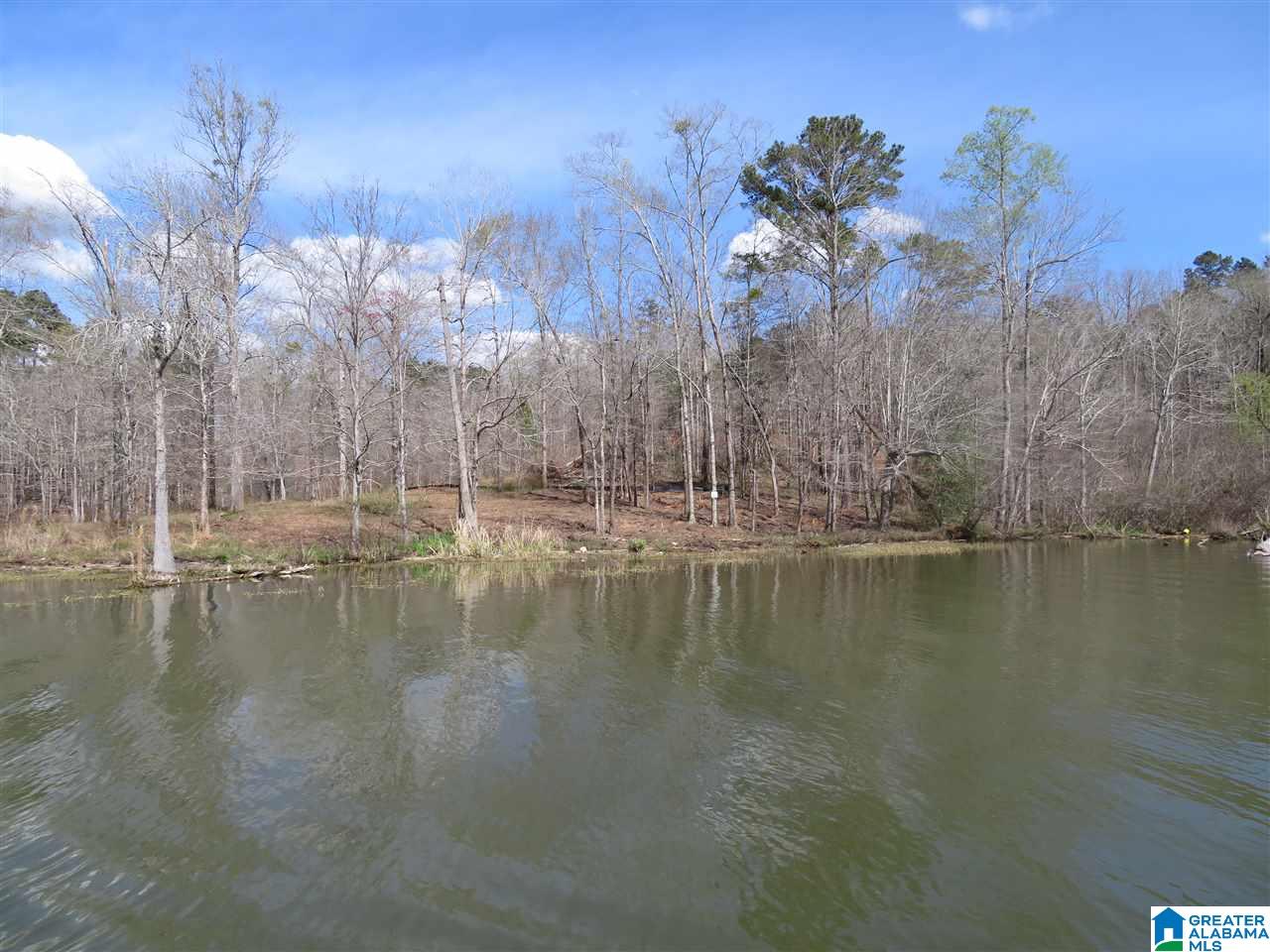 Lot 15 Eagle Point Trace, Unit 15 Alexander City, AL 35010 - Photo 4 of 11
