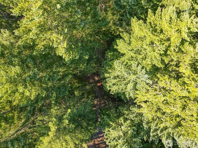 a view of a green field with trees in the background