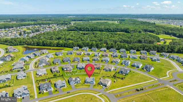 a view of a swimming pool with a garden