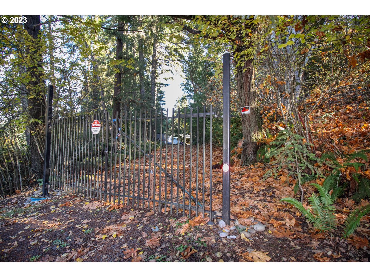 14240 Southwest Parmele Road Gaston, OR 97119 - Photo 11 of 16 Driveway
