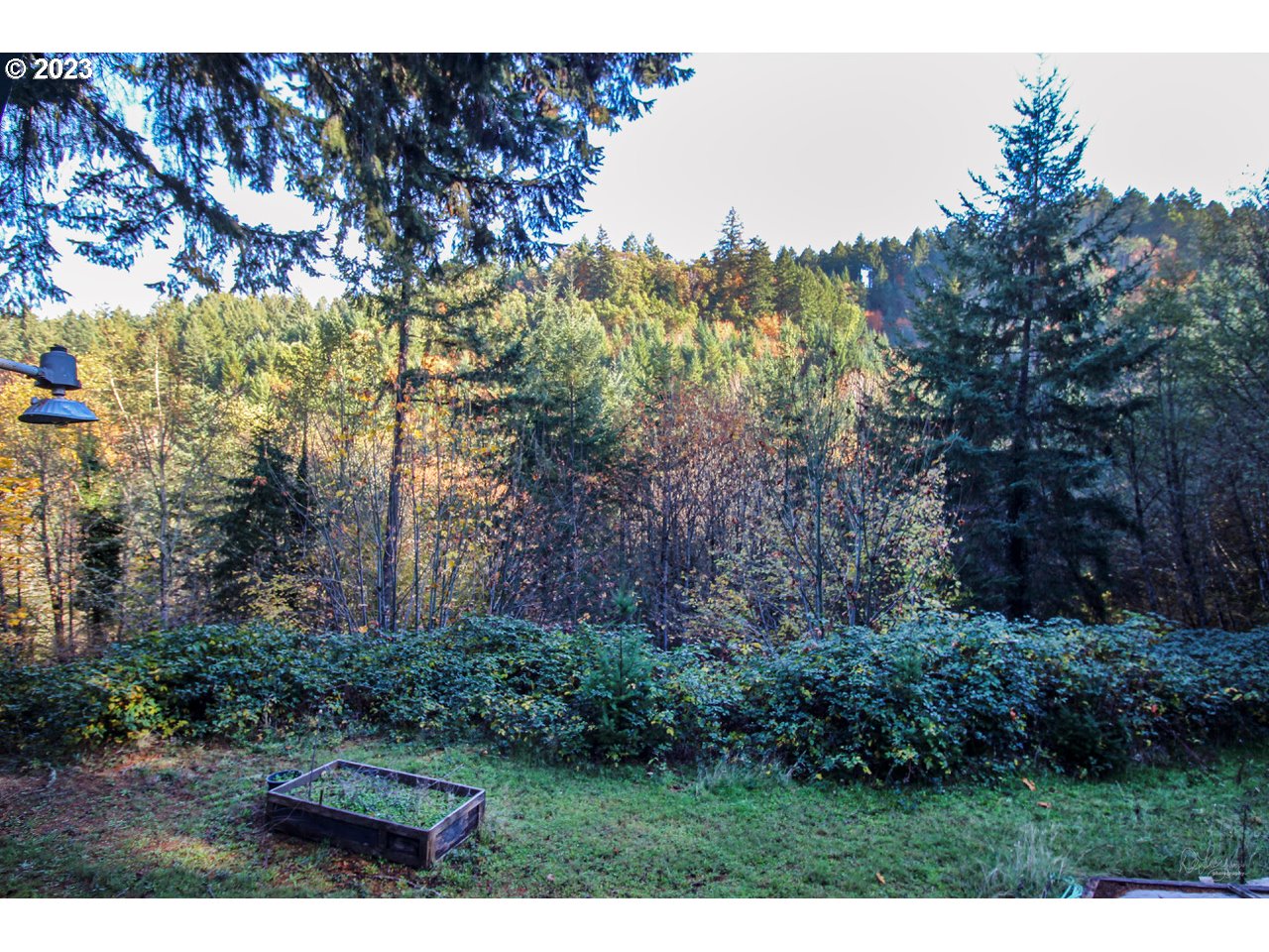 14240 Southwest Parmele Road Gaston, OR 97119 - Photo 7 of 16 View