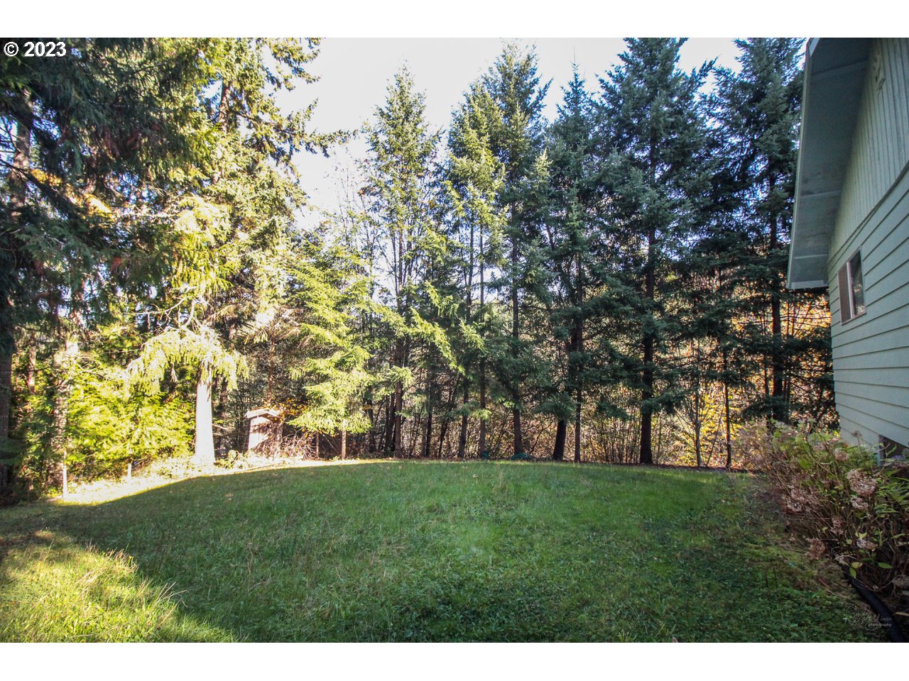 14240 Southwest Parmele Road Gaston, OR 97119 - Photo 8 of 16 Yard