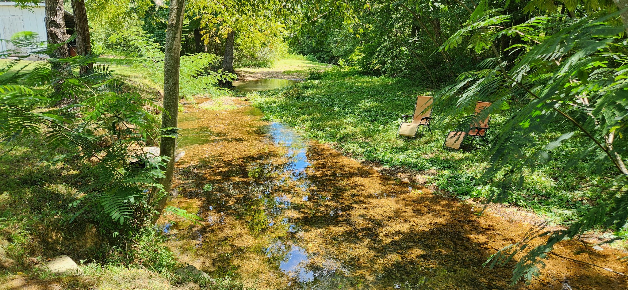 259 Brushy Road Centerville, TN 37033 - Photo 8 of 17 Looking down Brushy Creek