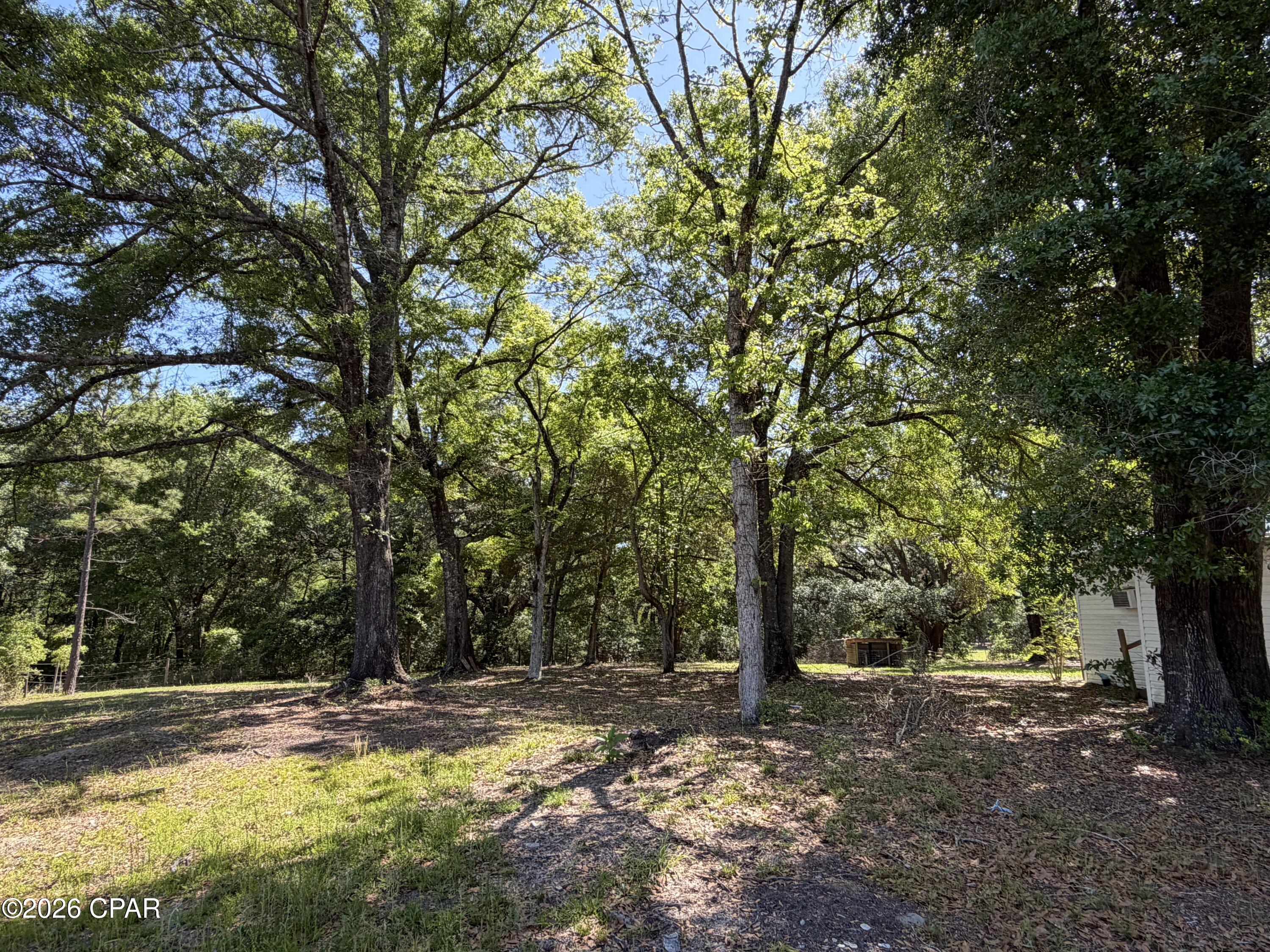 2839 Beall Packing Road Bonifay, FL 32425 - Photo 9 of 21