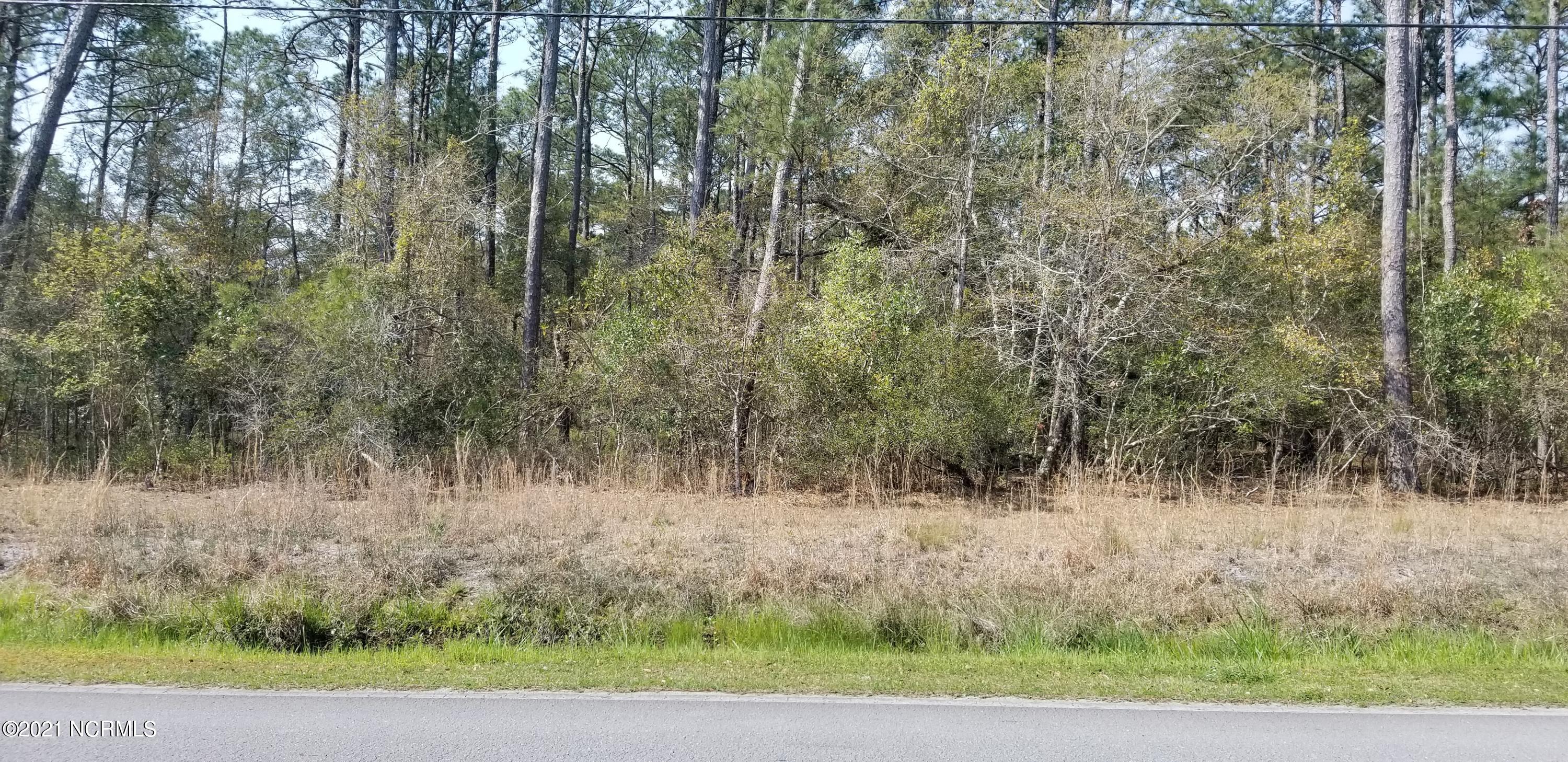 0 Goose Creek Road Hubert, NC 28539 - Photo 3 of 3 pic 4