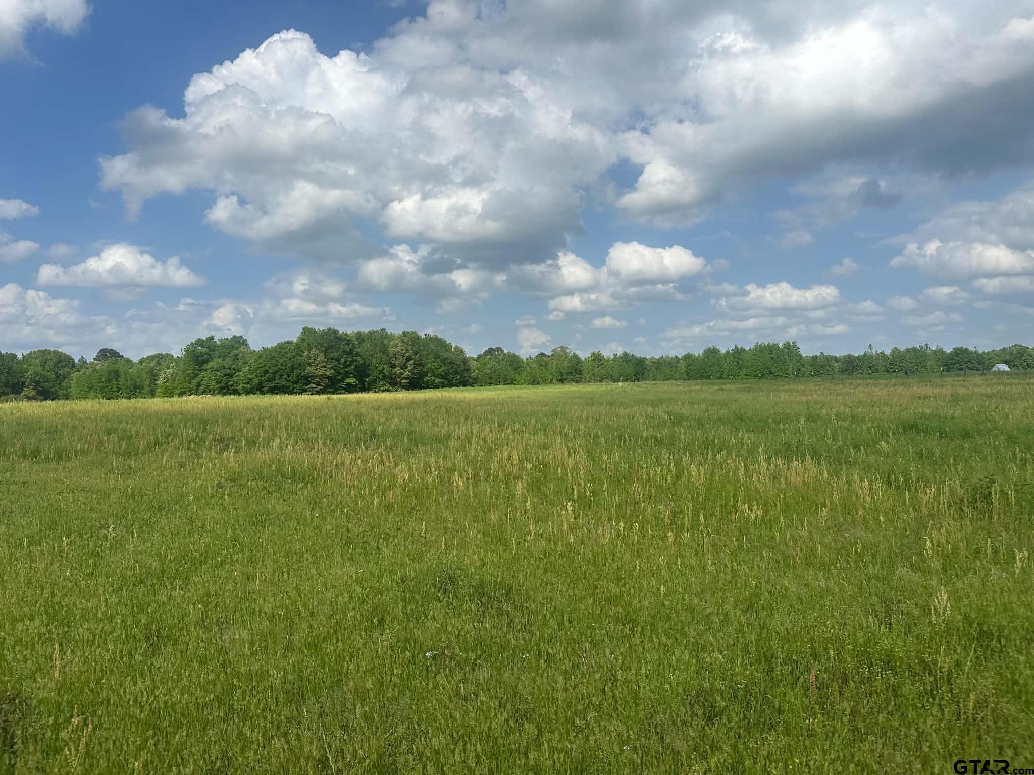 1203 Central Road Daingerfield, TX 75638 - Photo 16 of 16 a view of a city with lush green space