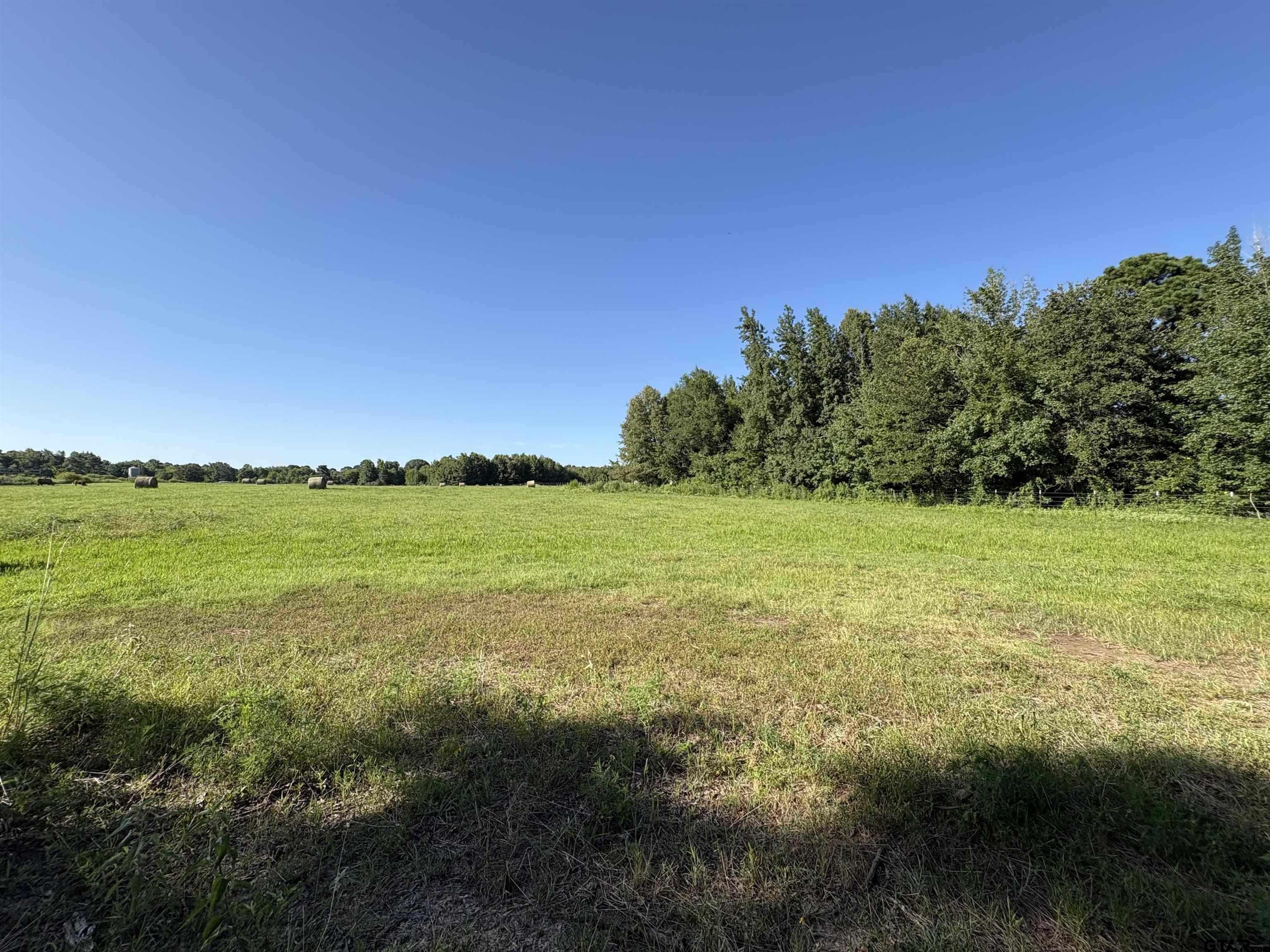 1203 Central Road Daingerfield, TX 75638 - Photo 2 of 16 a view of a field with an ocean