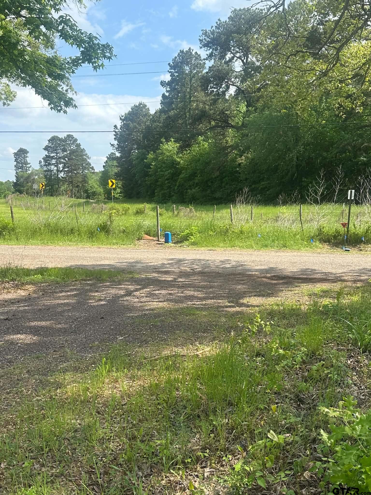 1203 Central Road Daingerfield, TX 75638 - Photo 5 of 16 a view of a yard with a trampoline