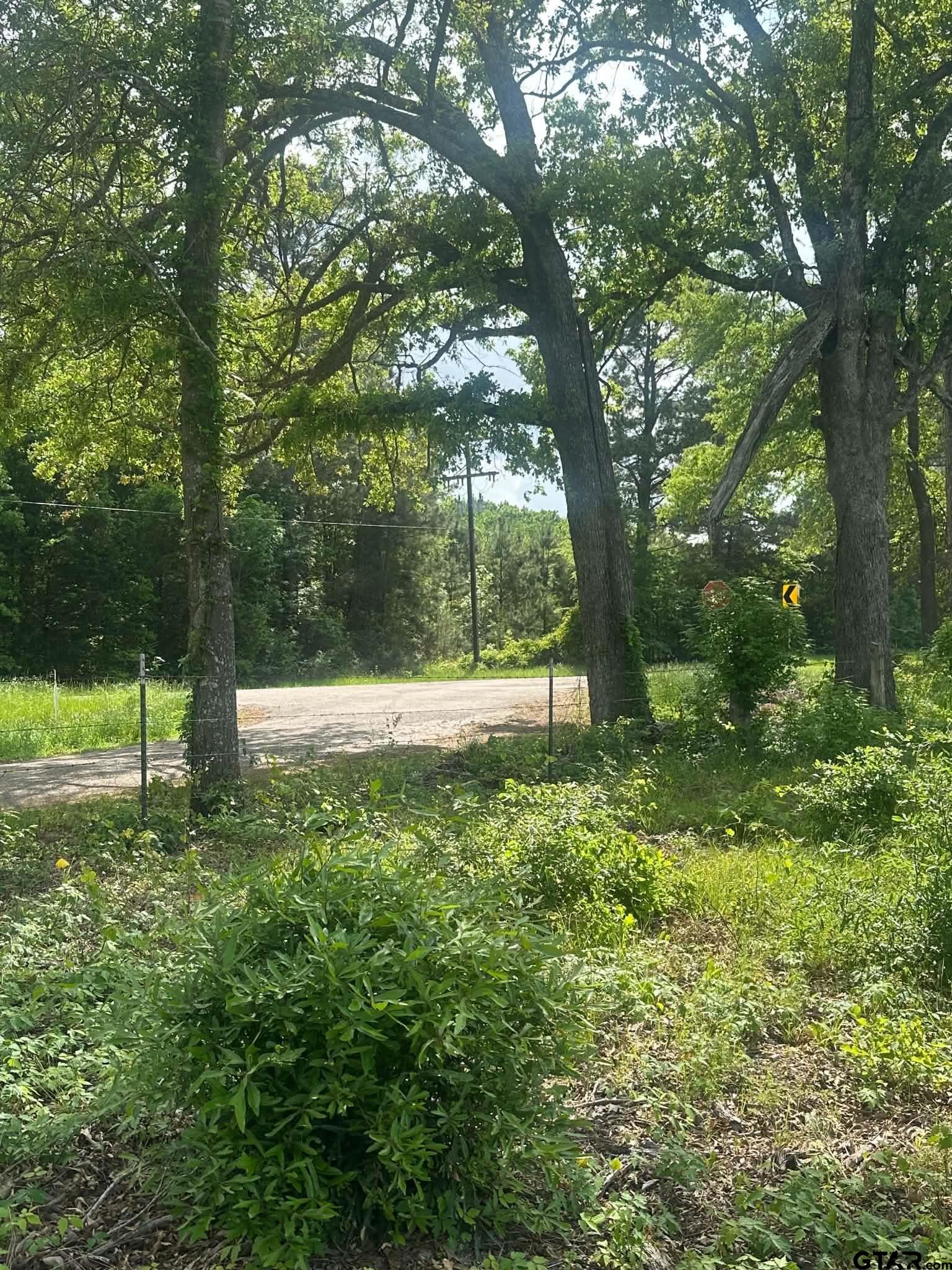 1203 Central Road Daingerfield, TX 75638 - Photo 6 of 16 a view of backyard with tree