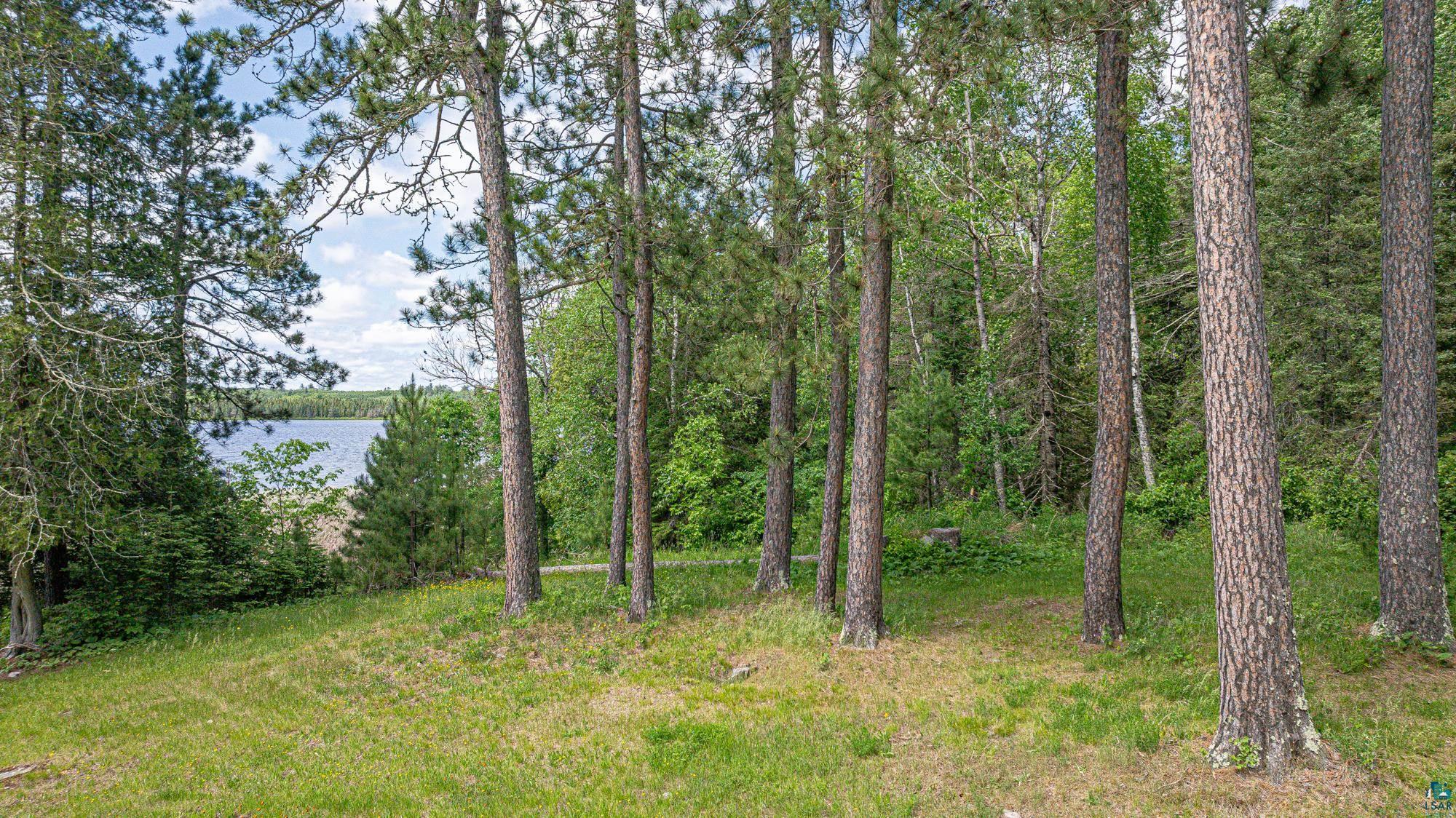 7280 Far North Road Buyck, MN 55771 - Photo 45 of 98