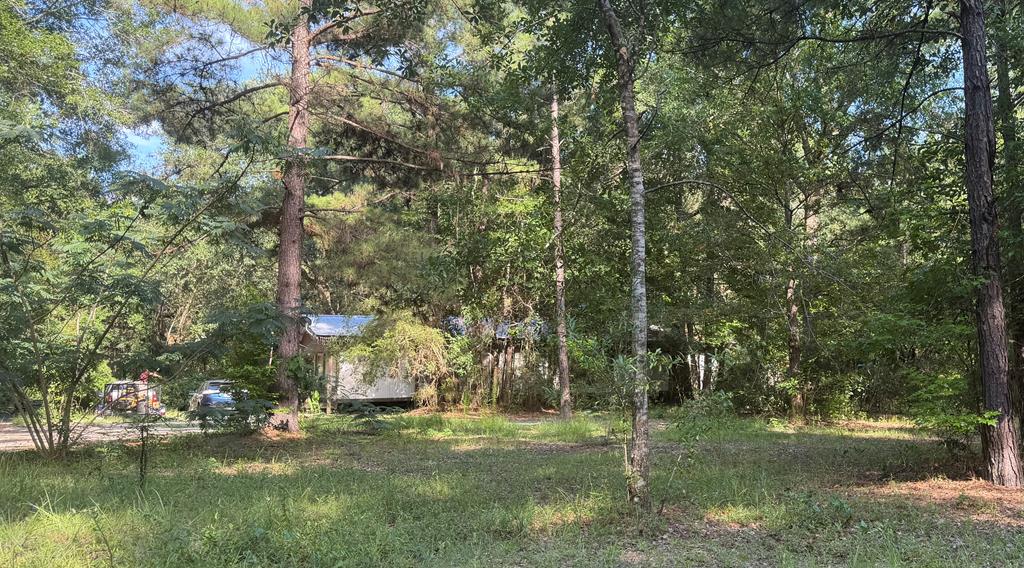 28 Lovell Johnson Road Picayune, MS 39466 - Photo 1 of 9 Main View
