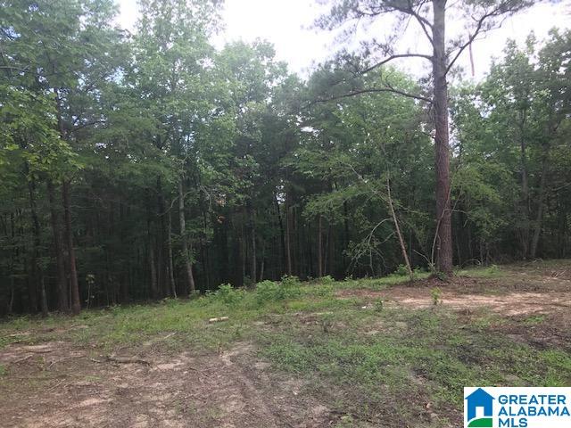 Mountain View Vance, AL 35490 - Photo 27 of 28