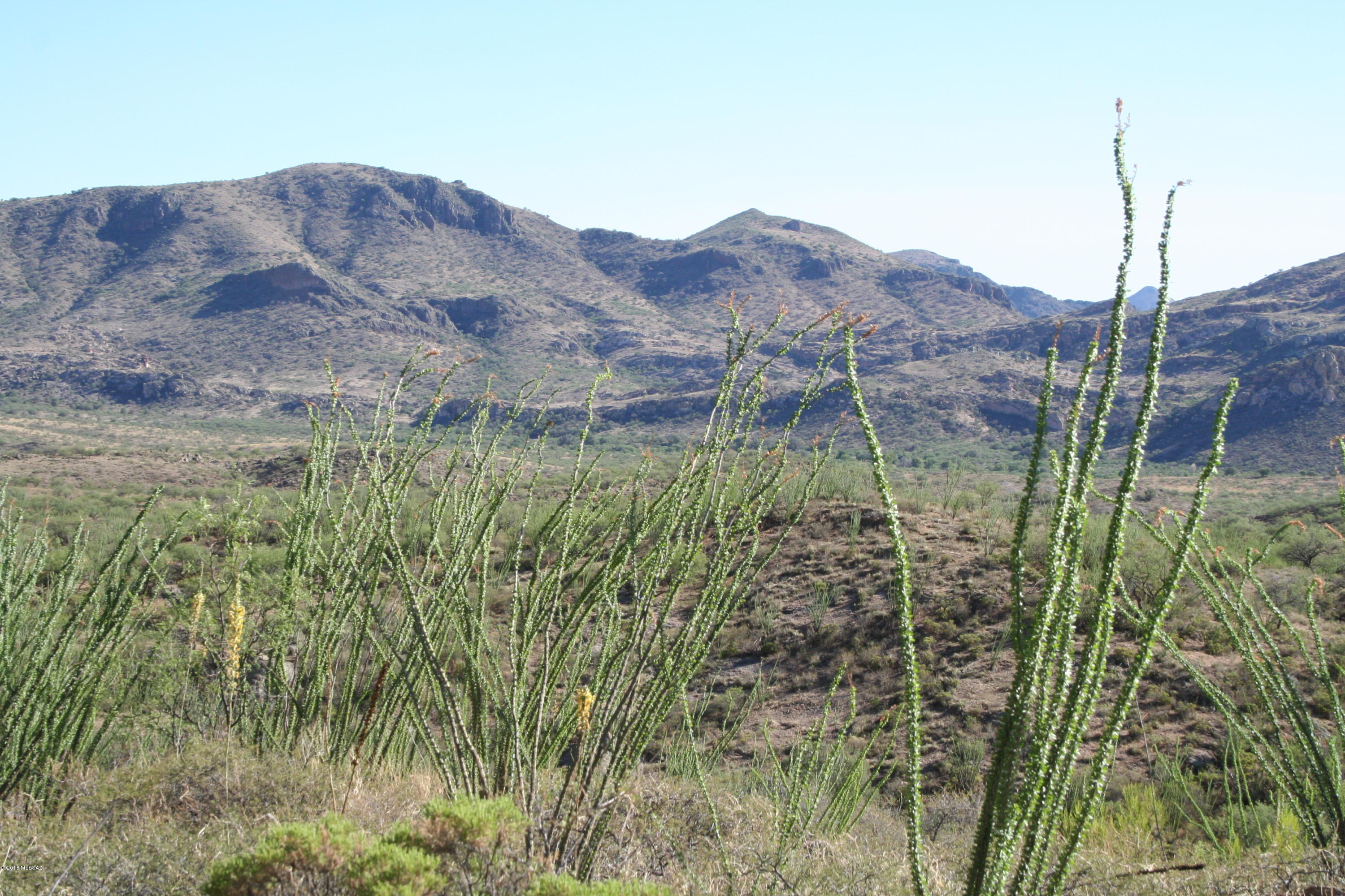 37 Copper Canyon Road, Unit 140 Rio Rico, AZ 85648 - Photo 11 of 17 IMG_9458
