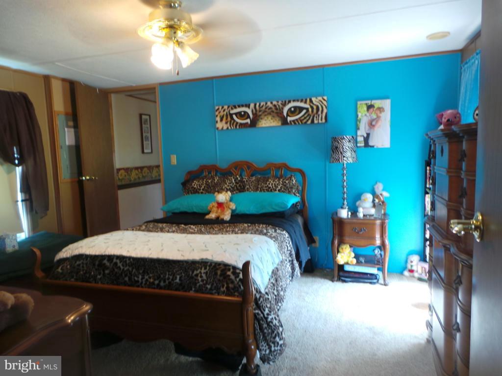 9662 Winchester Grade Road Berkeley Springs, WV 25411 - Photo 11 of 24 Bedroom (Master)