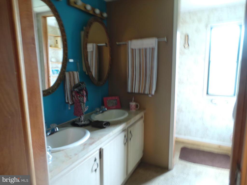 9662 Winchester Grade Road Berkeley Springs, WV 25411 - Photo 10 of 24 Bath (Master)