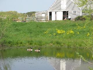 10 Beetle Swamp Road Edgartown, MA 02539 - Photo 22 of 30 Additional Photo