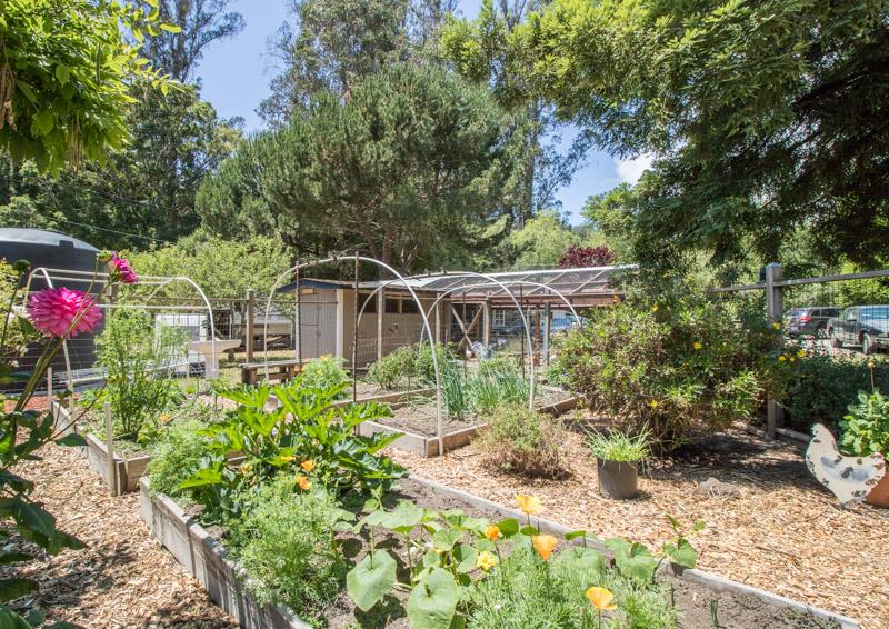 2284 Trout Gulch Road Aptos, CA 95003 - Photo 18 of 25 Gallery Image 18