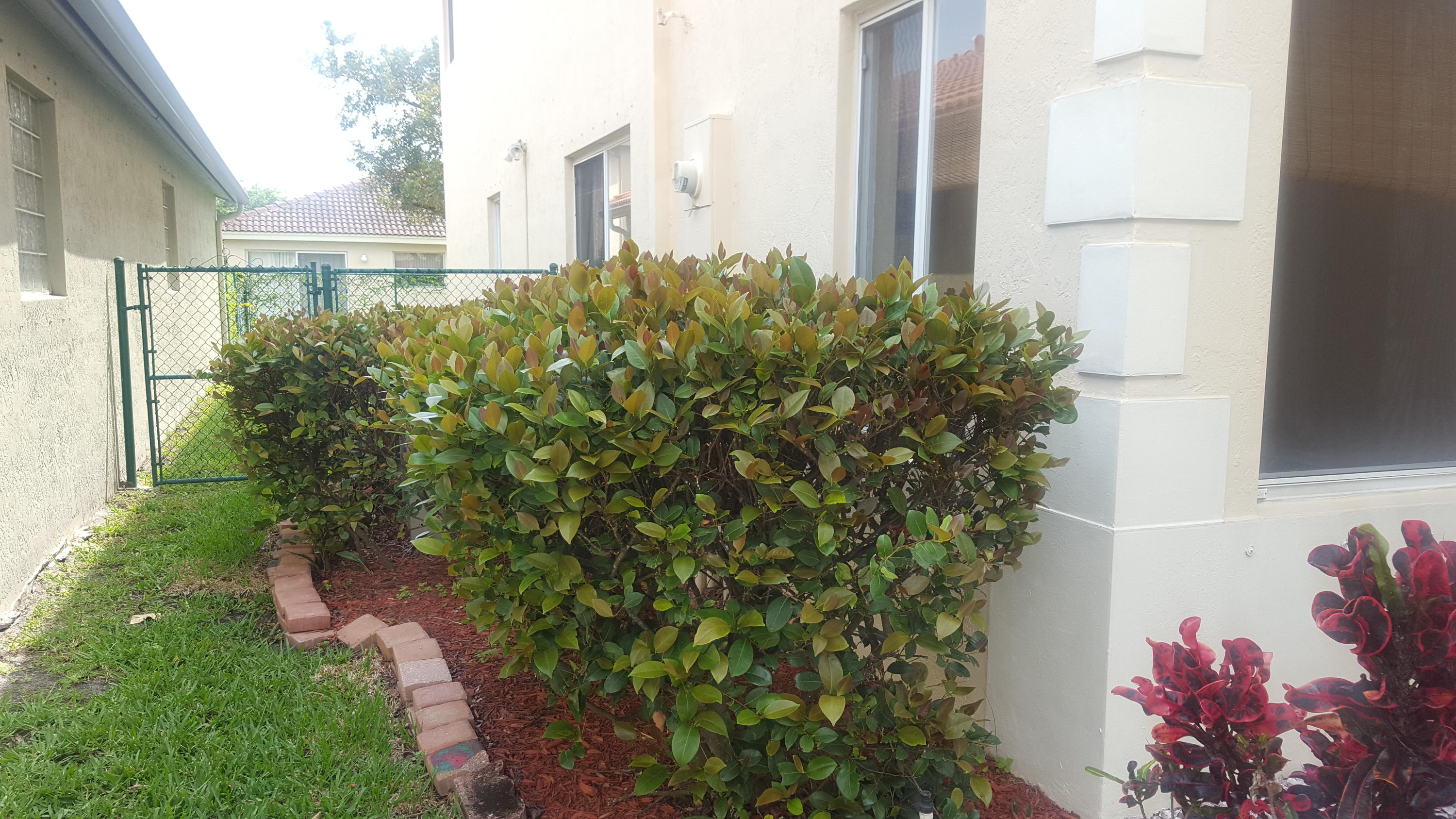 2121 Little Torch Street Riviera Beach, FL 33407 - Photo 3 of 39 20170402_144947