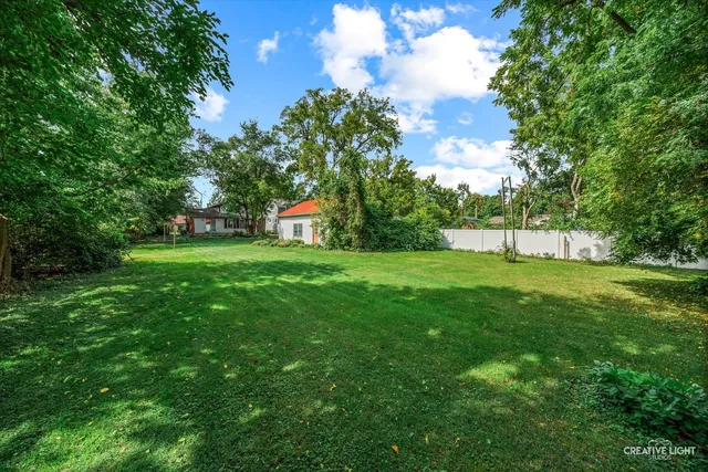 a view of green field with tree in the background