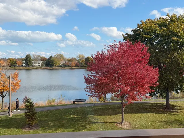 a view of a lake with houses in the back