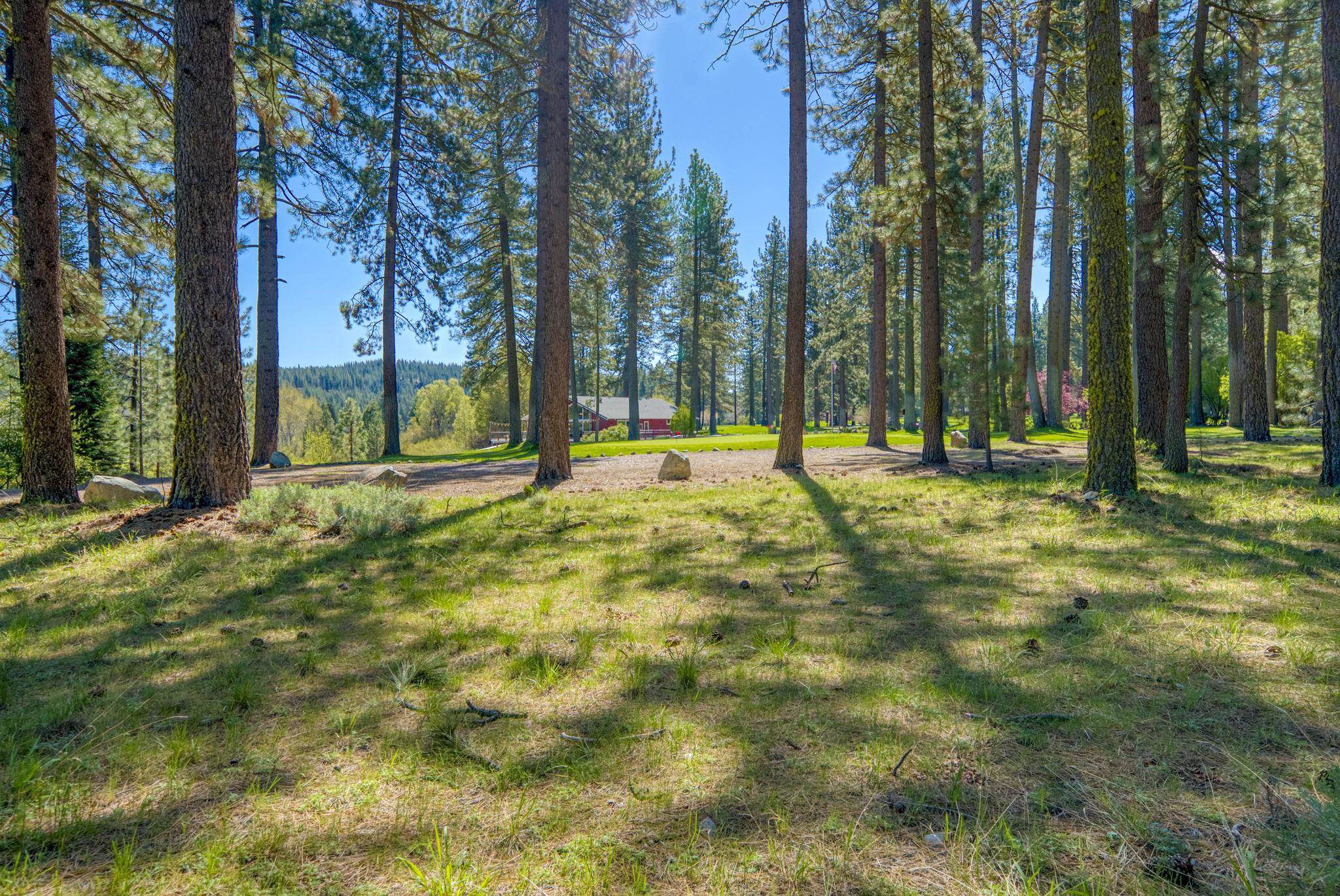 13 Graeagle Meadows Road Graeagle, CA 96103 - Photo 36 of 50