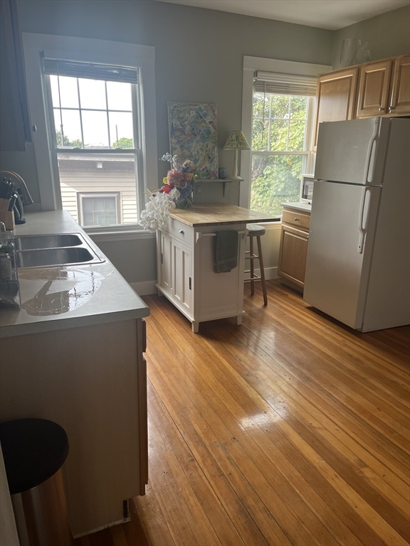 15 Parkton Road, Unit 3 Boston, MA 02130 - Photo 22 of 31