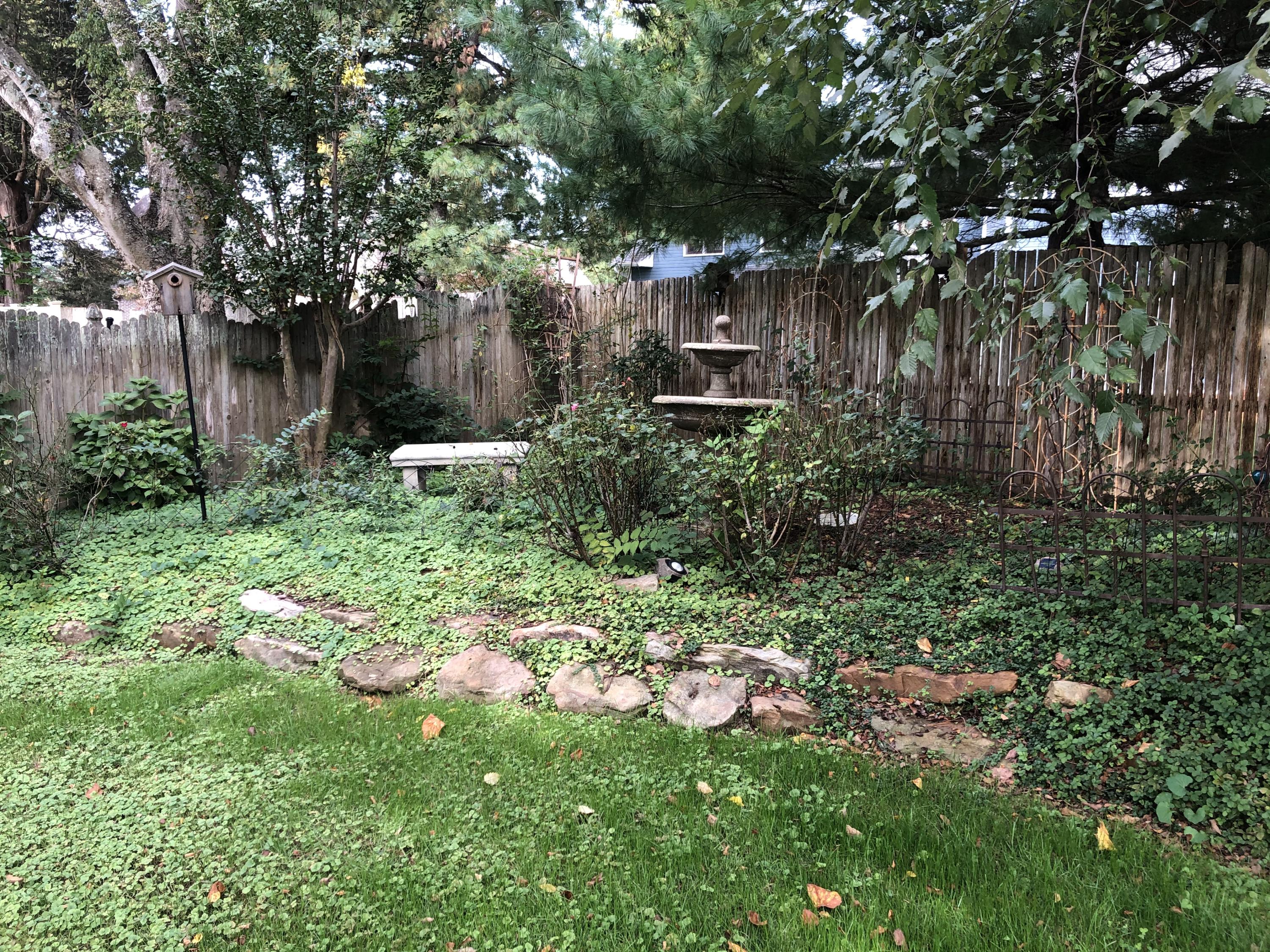 212 Geronimo Road Knoxville, TN 37934 - Photo 21 of 26 Back yard