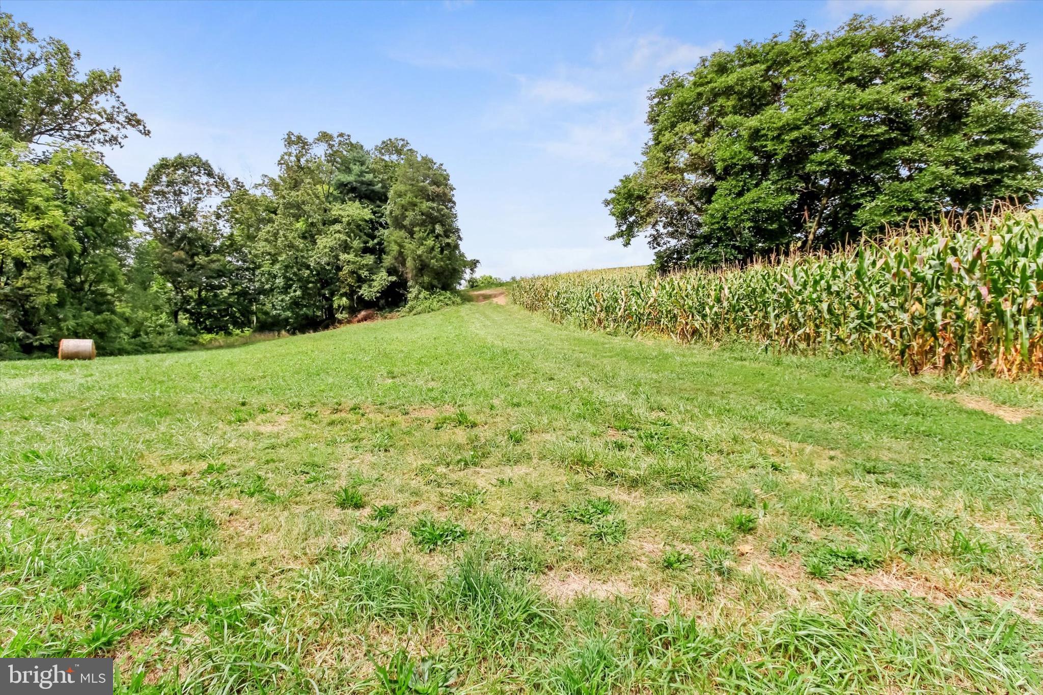 8219 Lehman Road Dallastown, PA 17313 - Photo 31 of 40 a view of yard with green space