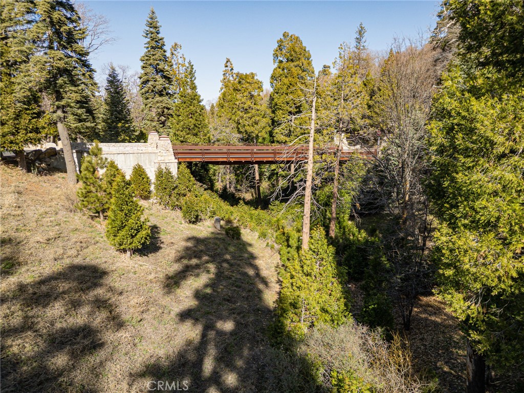 137 Mill Pond Road Lake Arrowhead, CA 92352 - Photo 17 of 19 a view of statue in the garden