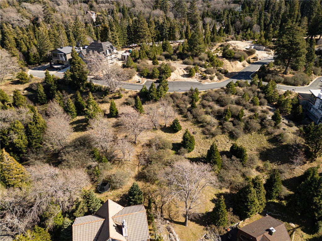 137 Mill Pond Road Lake Arrowhead, CA 92352 - Photo 4 of 19 a picture of outdoor space