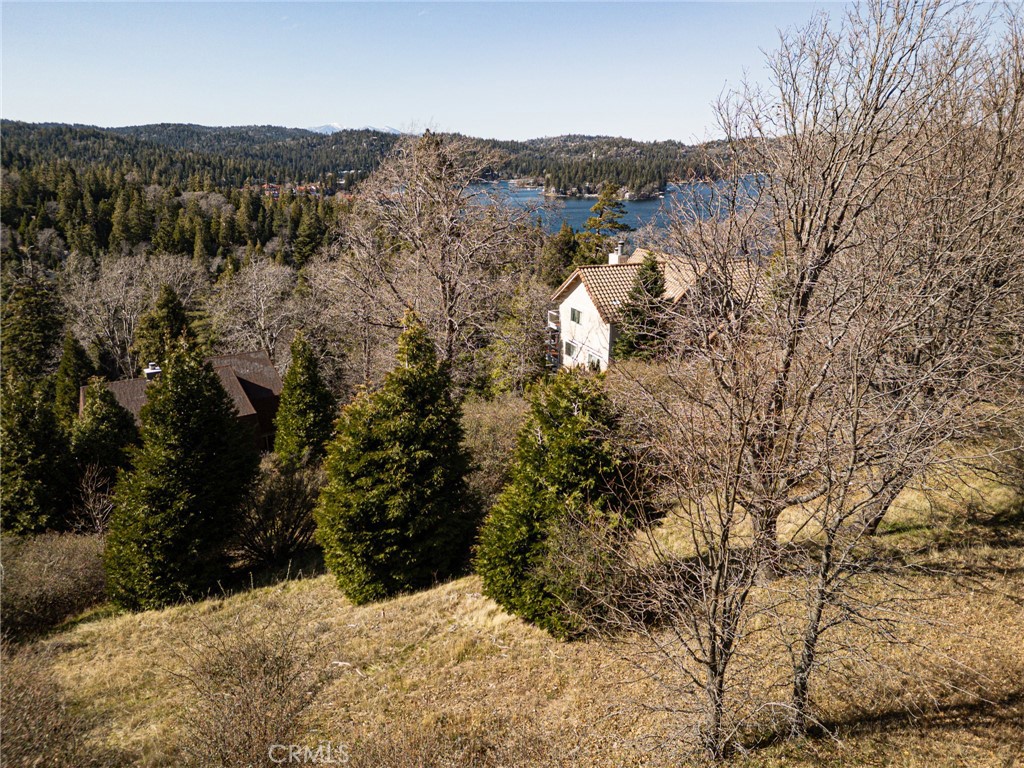 137 Mill Pond Road Lake Arrowhead, CA 92352 - Photo 7 of 19 a view of a mountain in the distance