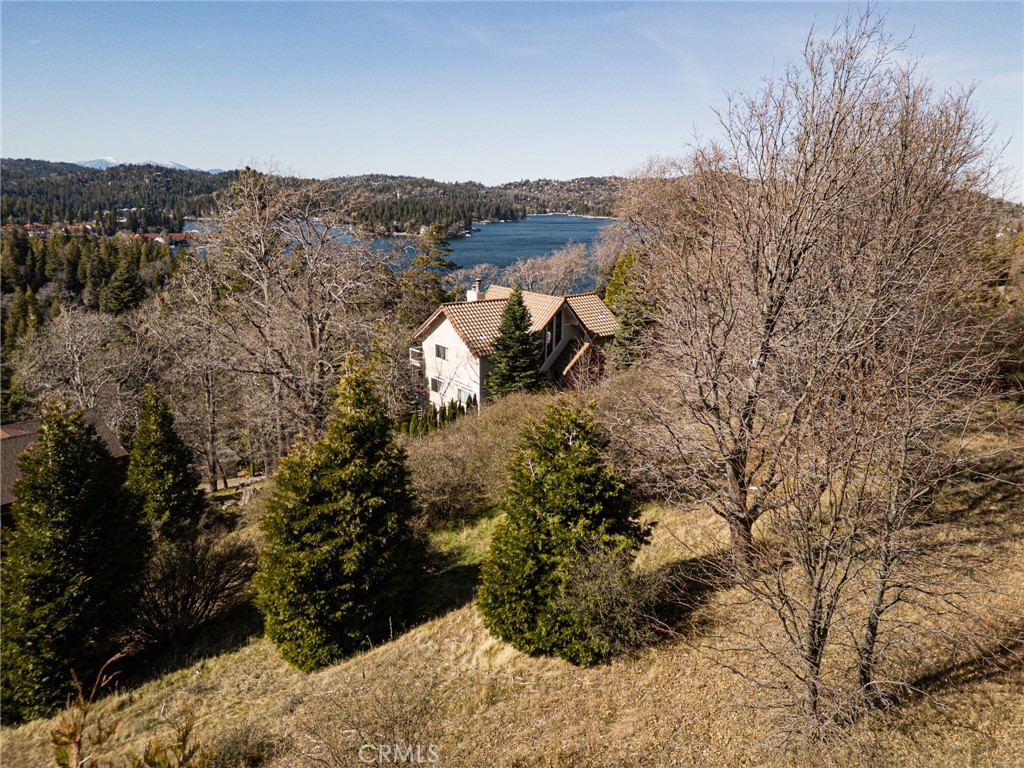 137 Mill Pond Road Lake Arrowhead, CA 92352 - Photo 8 of 19 a view of a forest with a mountain and trees
