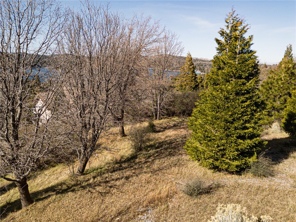 137 Mill Pond Road Lake Arrowhead, CA 92352 - Photo 10 of 19 a view of a yard with a tree