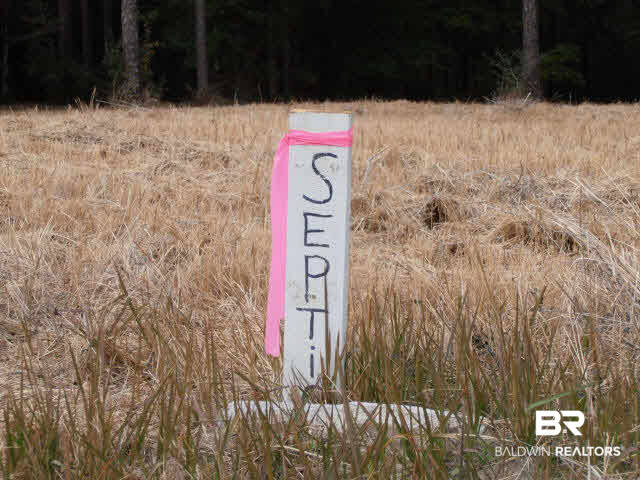 29409 Archie Road Elberta, AL 36530 - Photo 14 of 20 Septic site