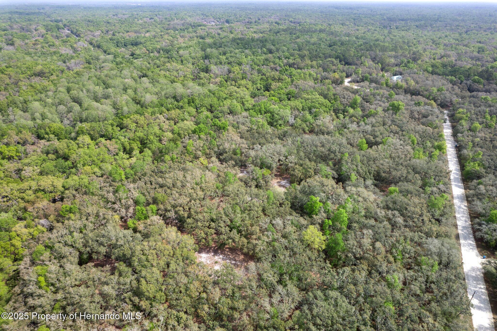 0 Rimrock Street Webster, FL 33597 - Photo 12 of 25