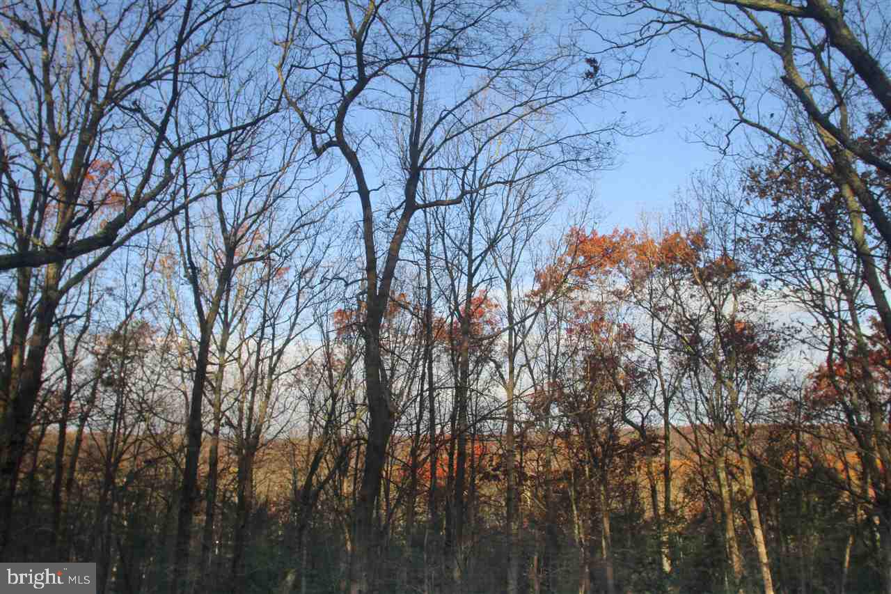10 Hirschmann Road Biglerville, PA 17307 - Photo 10 of 36 Gallery Image 10
