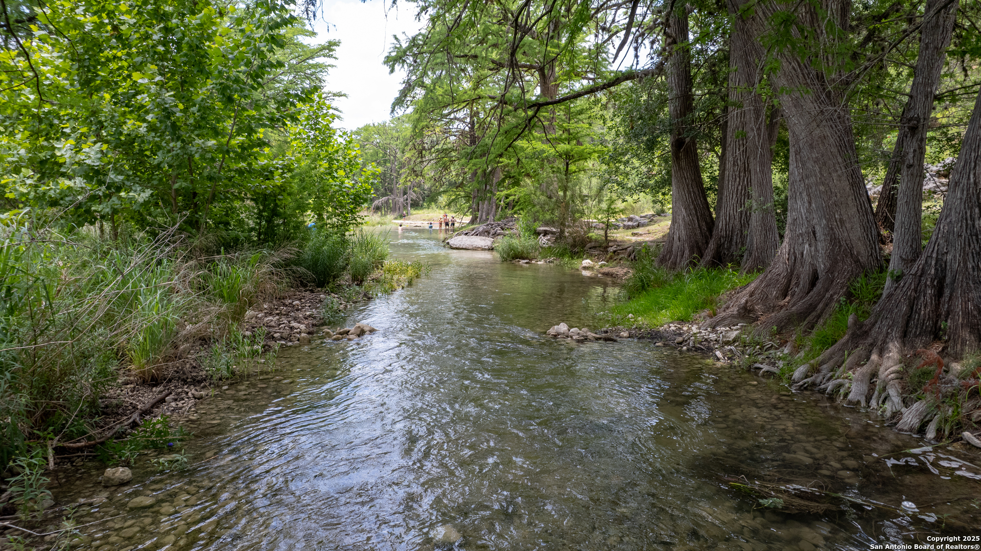 a view of a lake with lots of trees