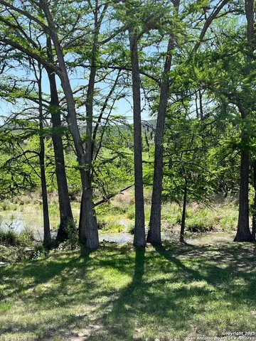 a view of a yard with a tree