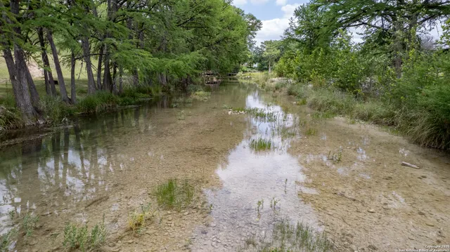 a view of a lake with lots of green space