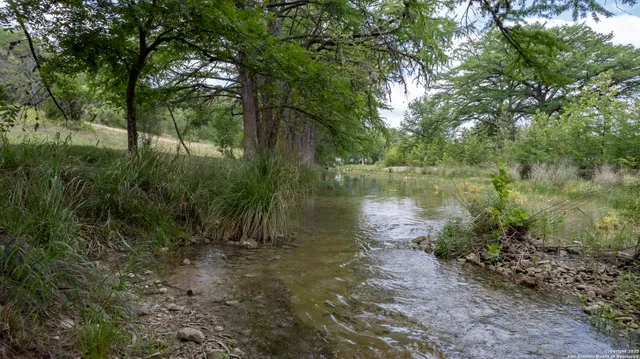 a view of water pond with green space